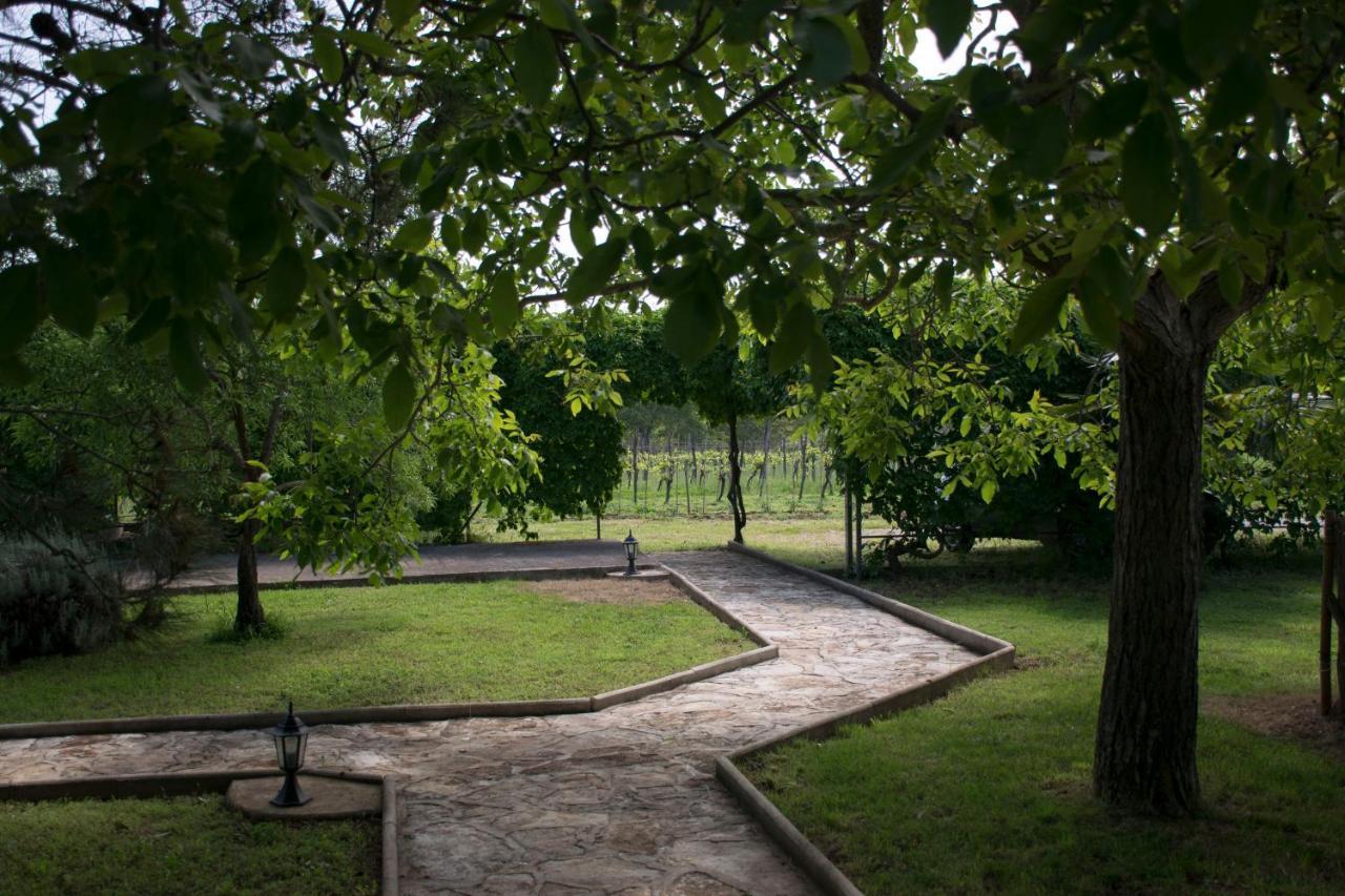 Sanja Apartments Sveti Servul Novigrad Istria Dış mekan fotoğraf