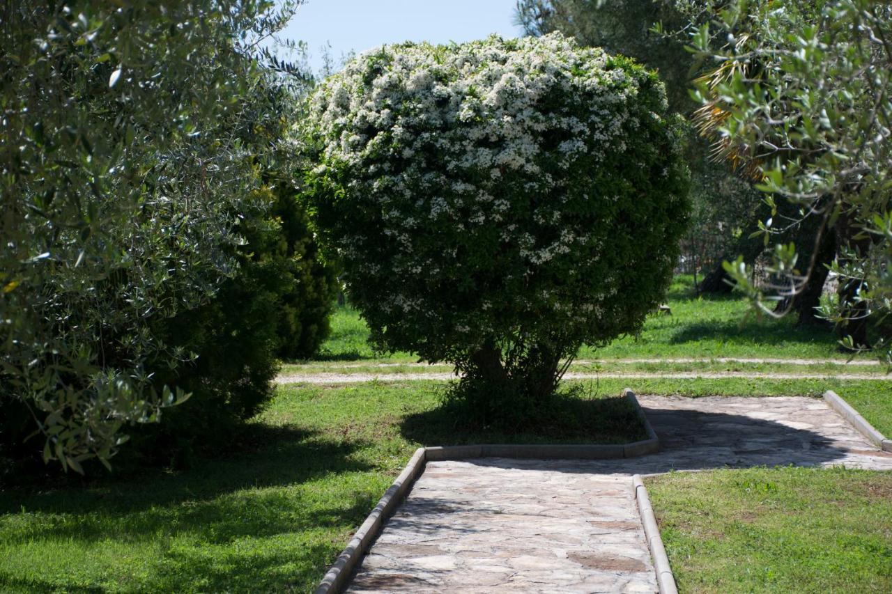Sanja Apartments Sveti Servul Novigrad Istria Dış mekan fotoğraf